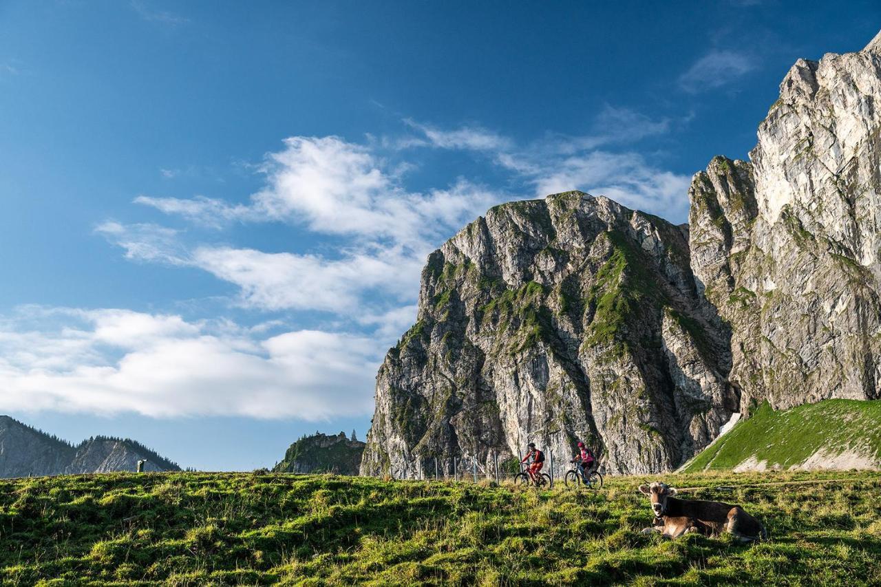 Alpenstern Pfronten