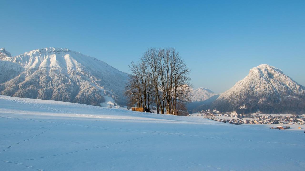 Alpenstern Apartment
